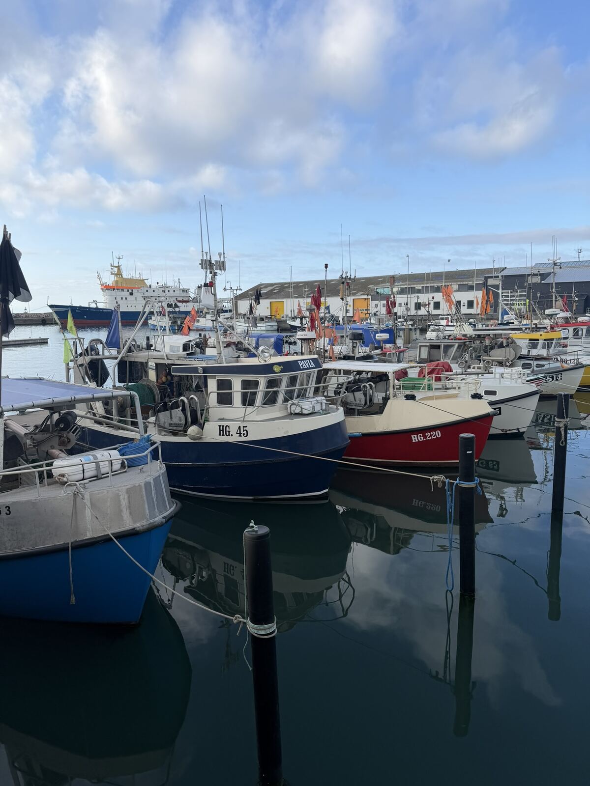 Barcos de pesca en el puerto de Hirtshals