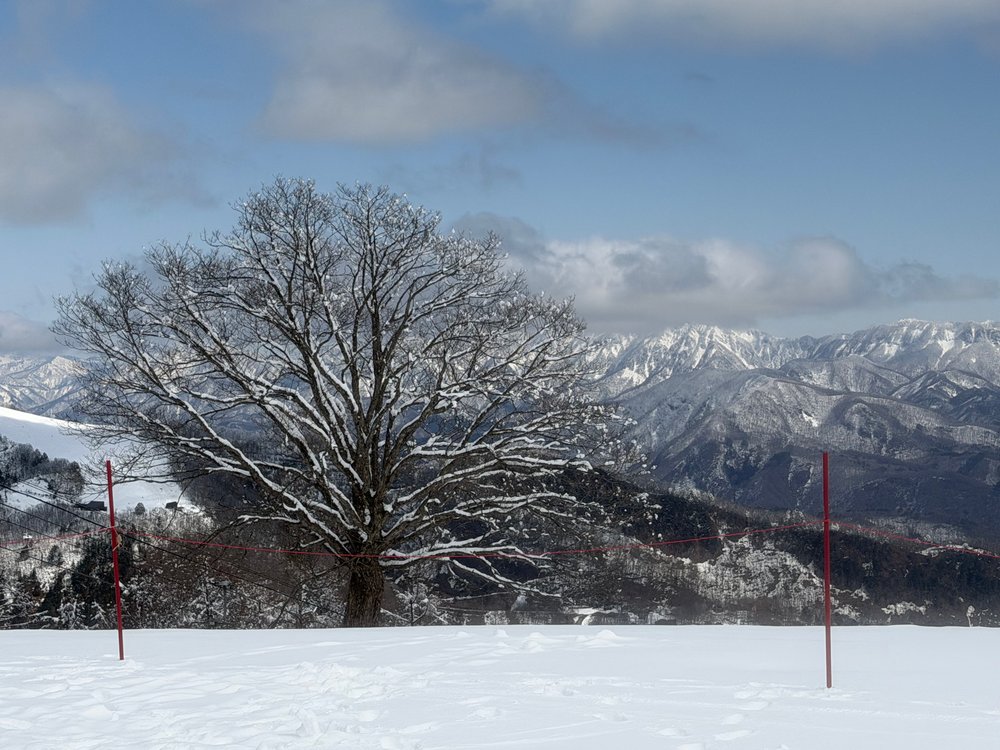 Muntanyes nevades a Hakuba
